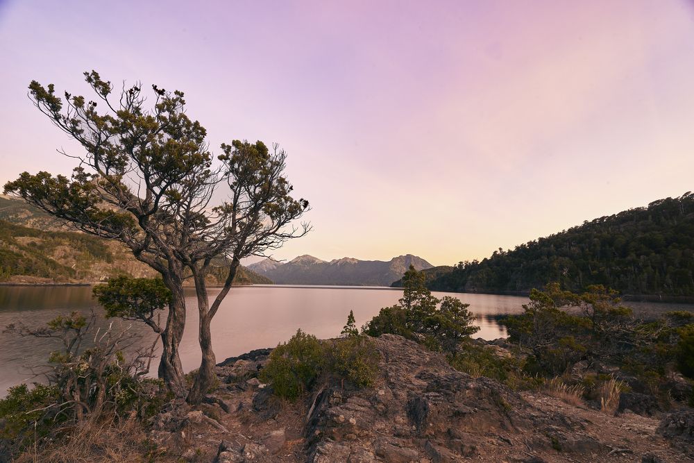 Photograph by Barbara Ciminari