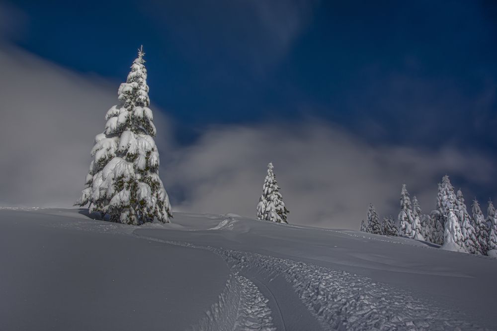 Photograph by Beno Medic