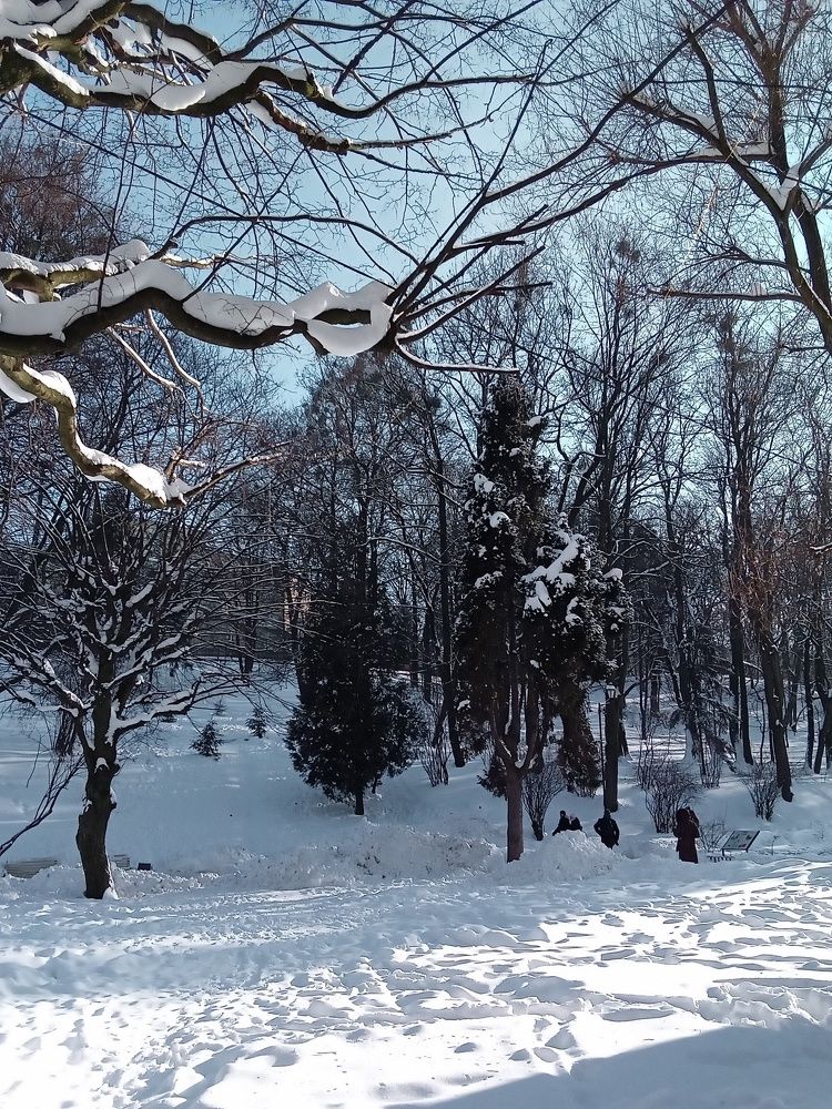 Photograph by Елена Шерман