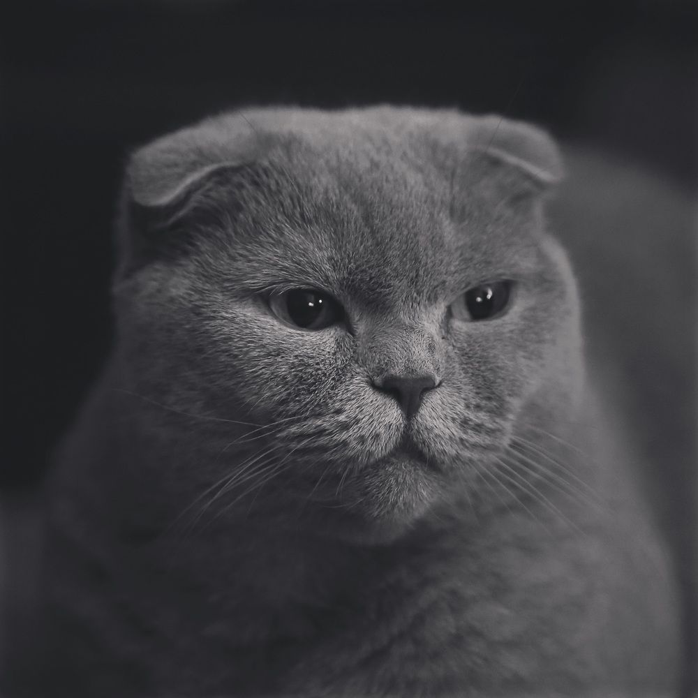 Photograph by Михаил