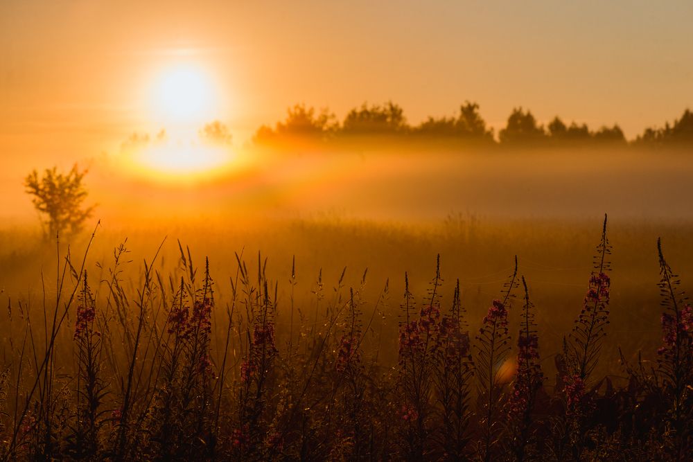 Photograph by Анна Никольская