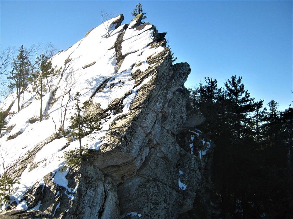 Photo #5815284