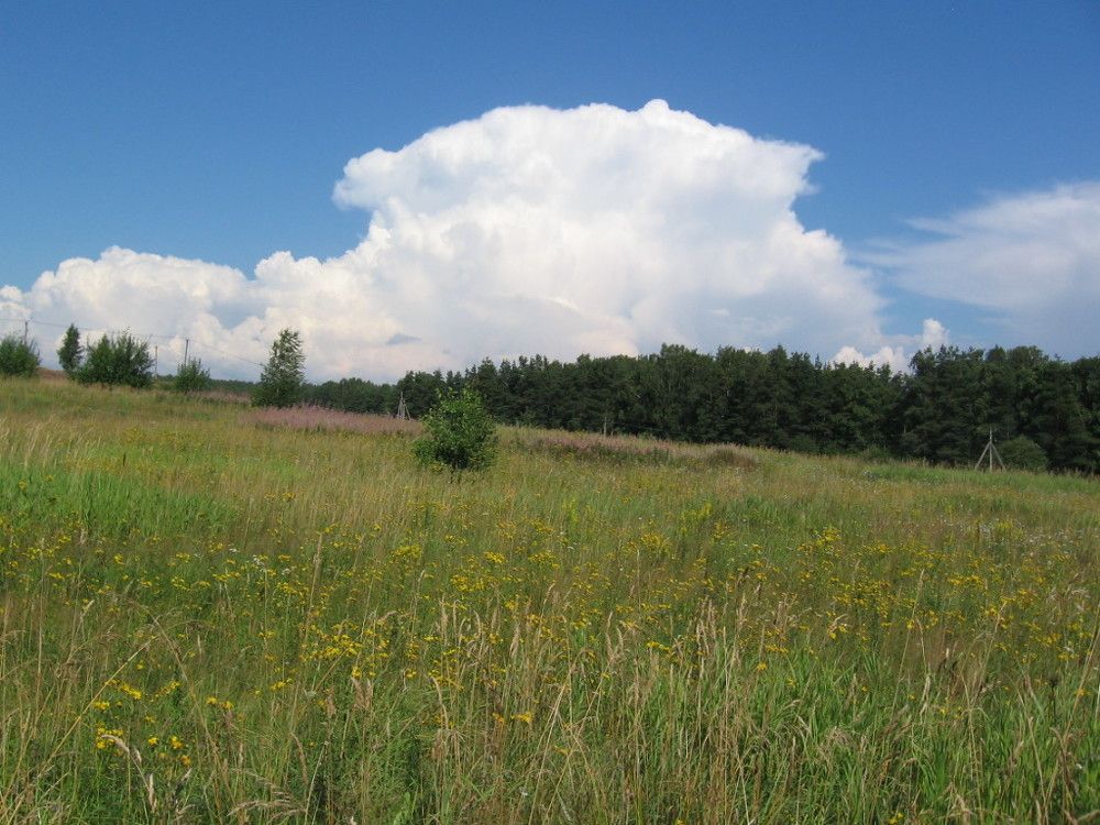 Photo #5815361