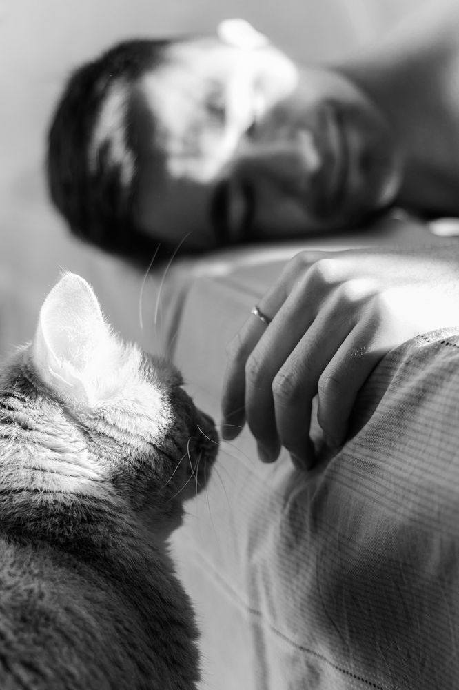 Photograph by Роман Петров