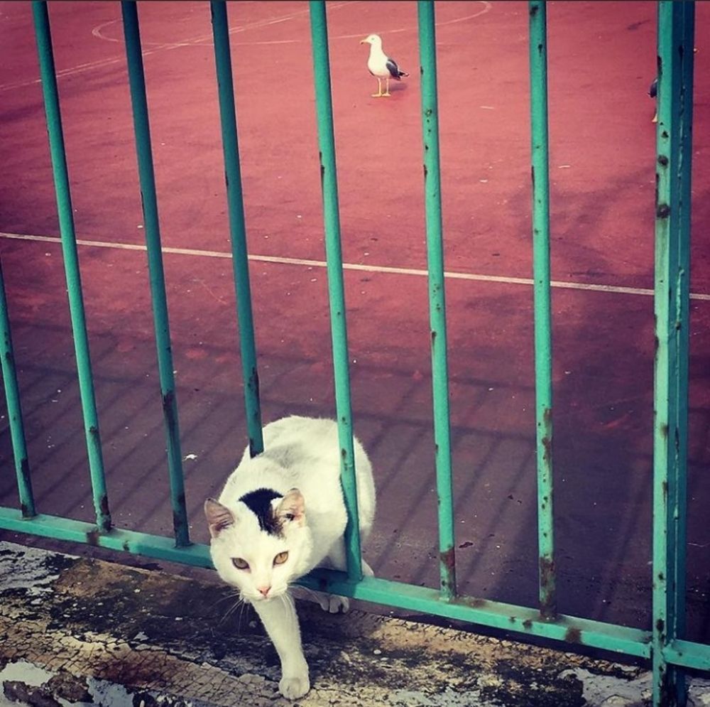 Photograph by Ntina Dimitriou