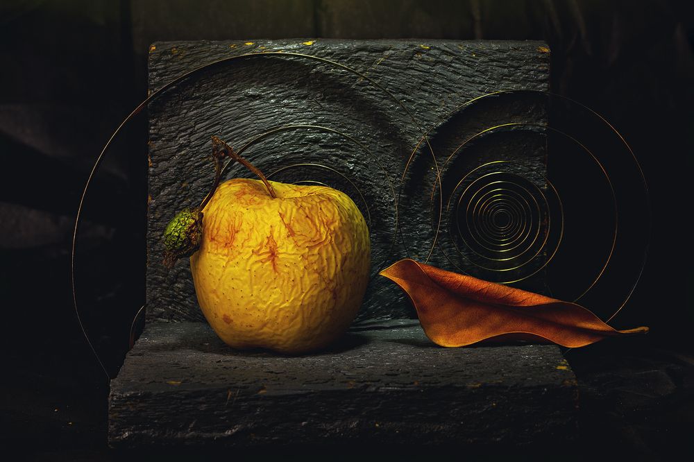 Photograph by Stas Che