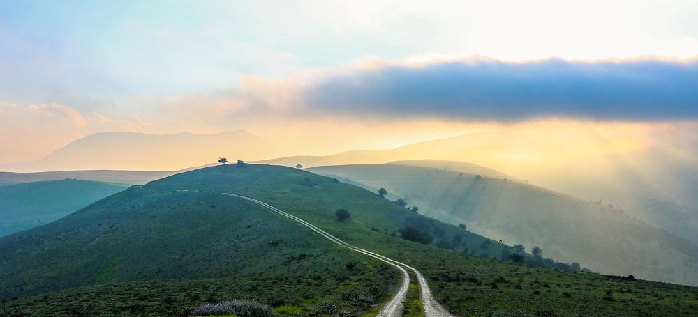 Photograph by Mohamad Foghani