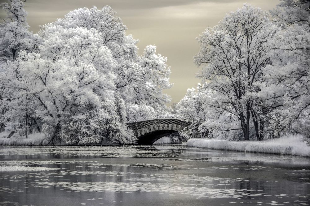 Photograph by Robert Oldakowski