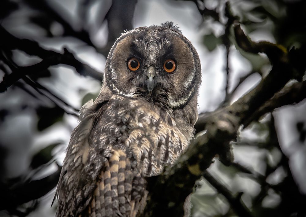 Photograph by Huszár Szilamér