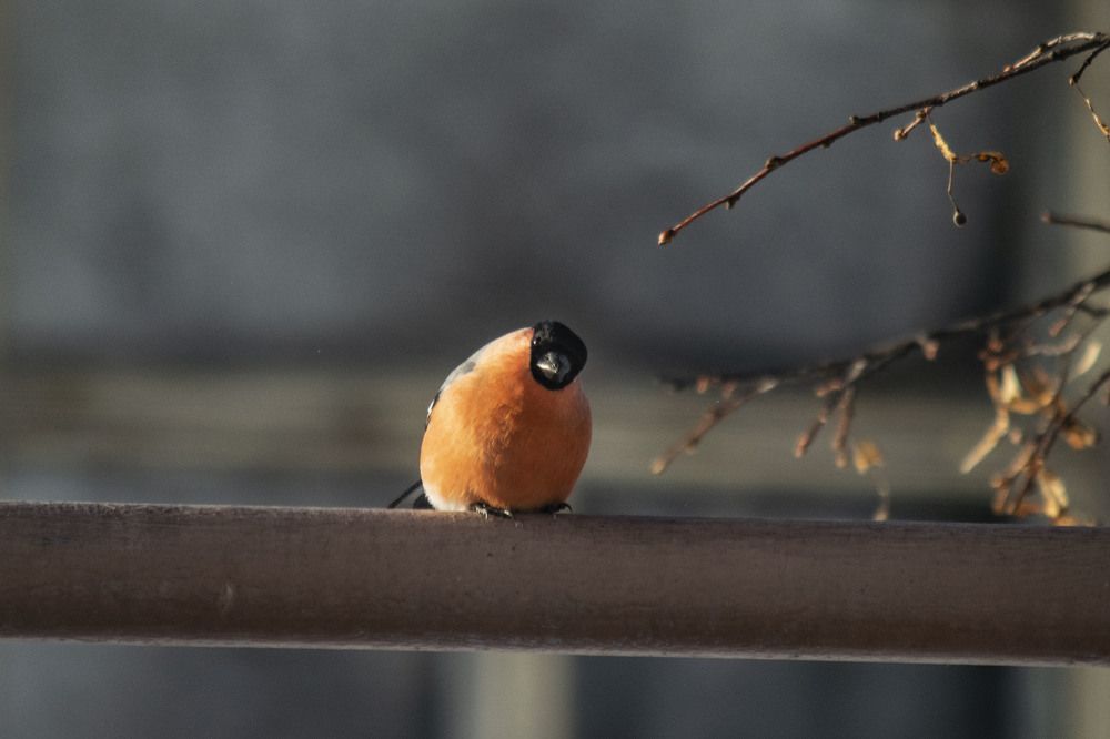 Photograph by Алексей Логинов