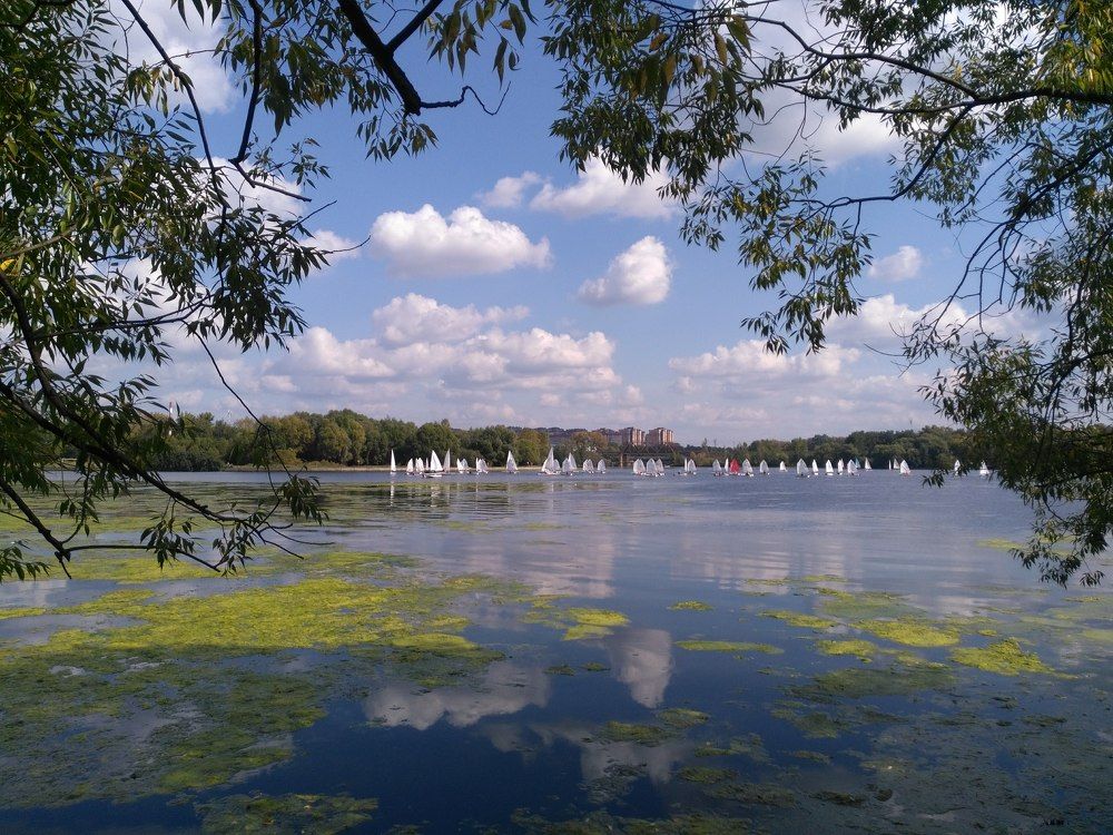 Photo #5815630