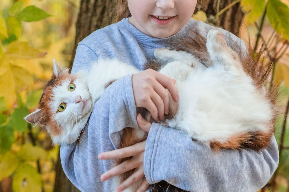 Photograph by Наталья Кутасова