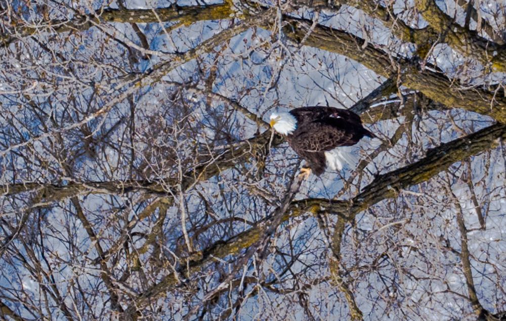 Photograph by Duane Vosika