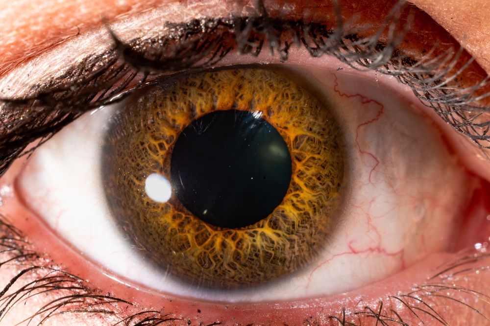 Photograph by Duane Vosika