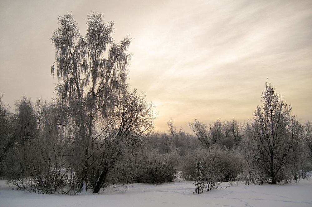 Photograph by Sergejs Barkans