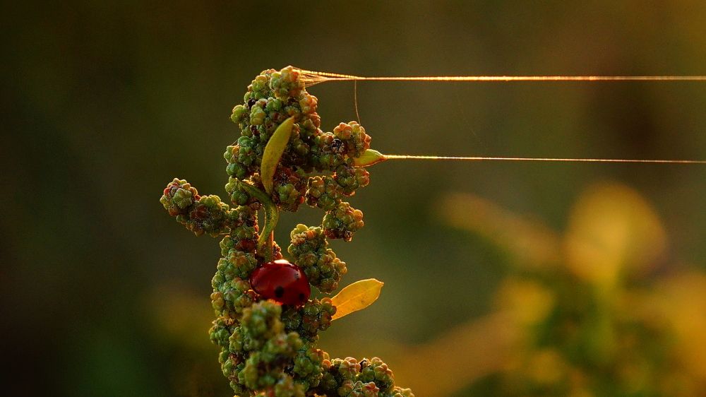 Photograph by Mirela Velicu