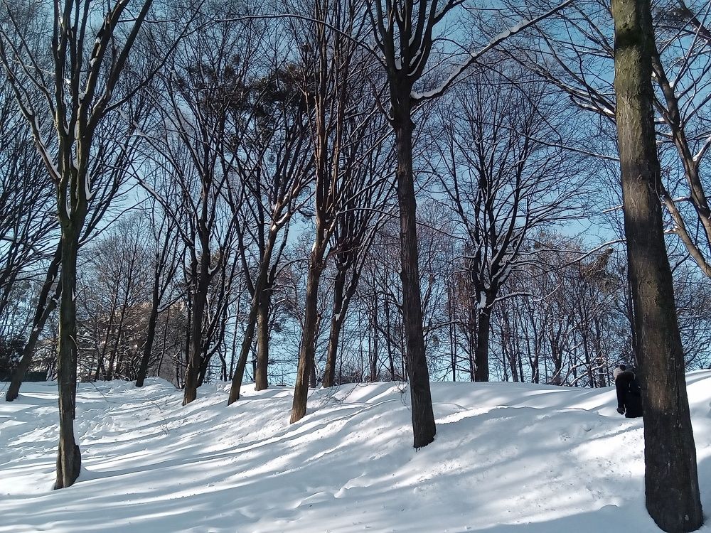 Photograph by Елена Шерман