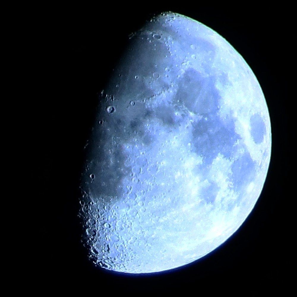 Photograph by François Mastrorilli