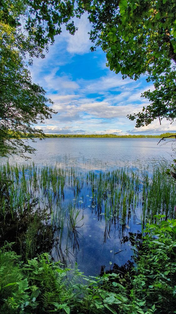 Photograph by Екатерина Лурина