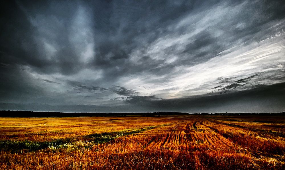 Photograph by Елена Мицкевич