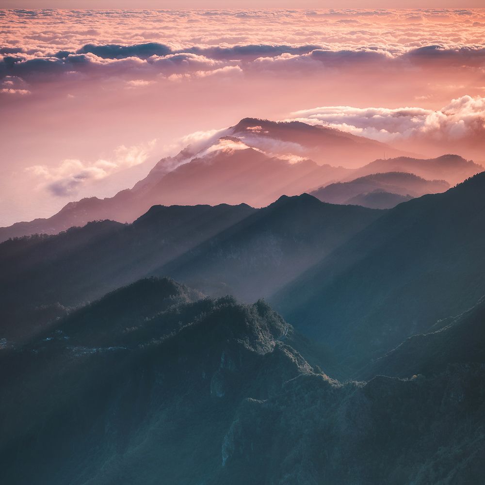 Photograph by Przemyslaw Szewczyk