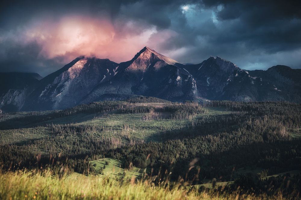 Photograph by Przemek Szewczyk