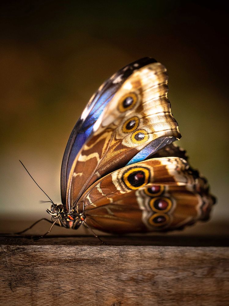 Photograph by Huszár Szilamér