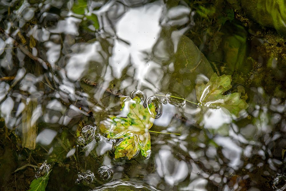 Фотография автора Денис Юдин