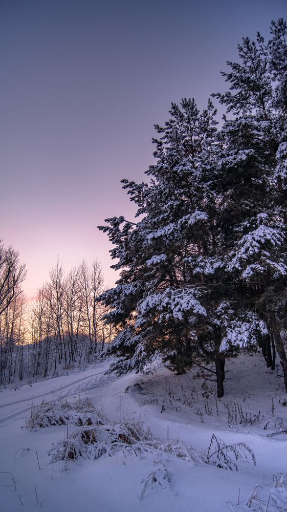 Photograph by Даниэль Чашкин