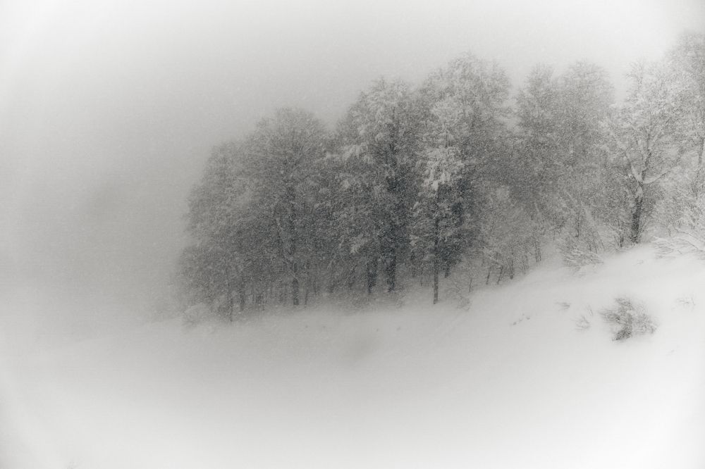 Photograph by Vadim Ozz