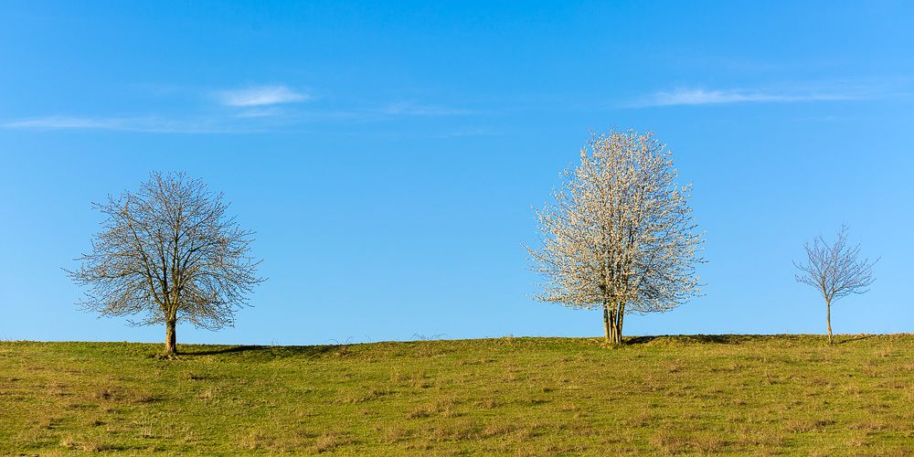 Photograph by Richard Petrech