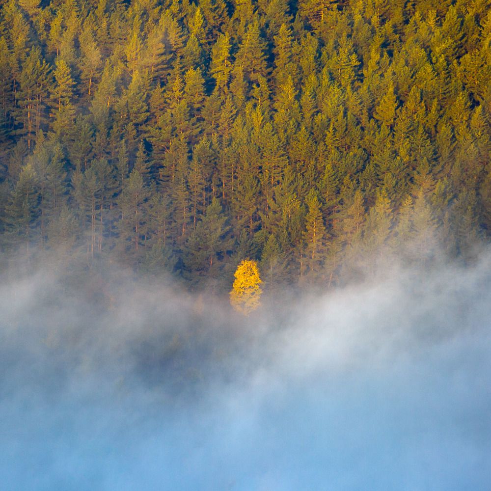 Photograph by Richard Petrech