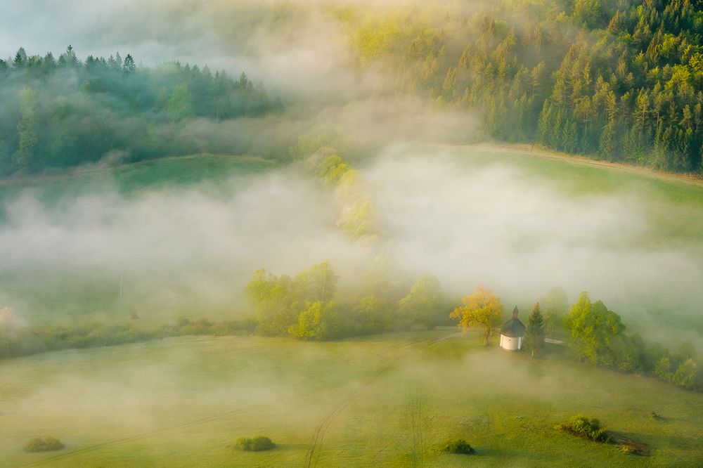 Photograph by Richard Petrech