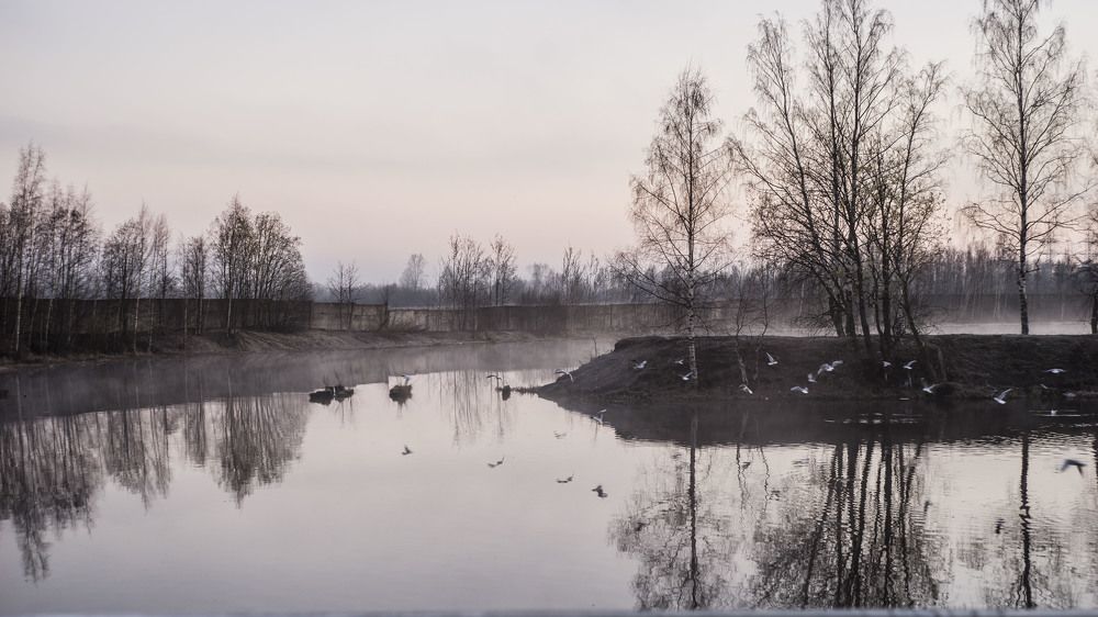 Photograph by Сергей