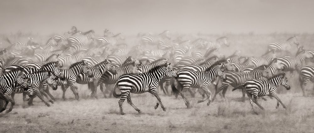 Photograph by Ali Khataw