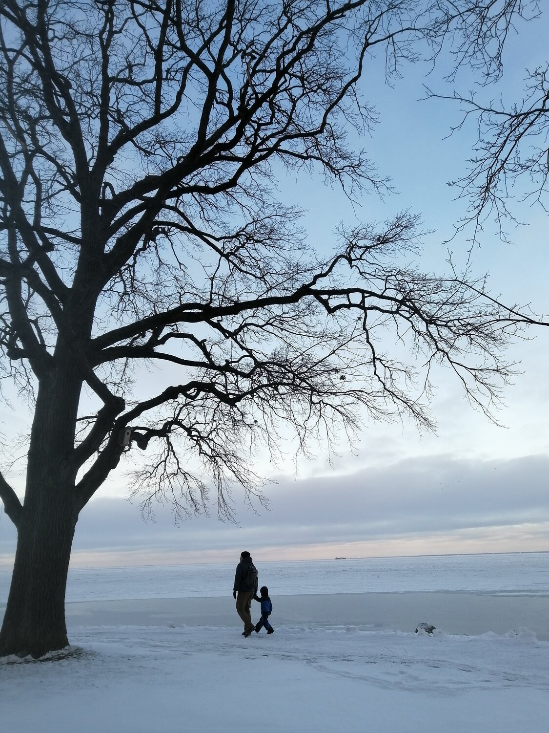 Photo #5816137