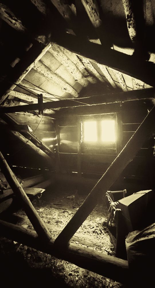 Photograph by Ольга Снаи