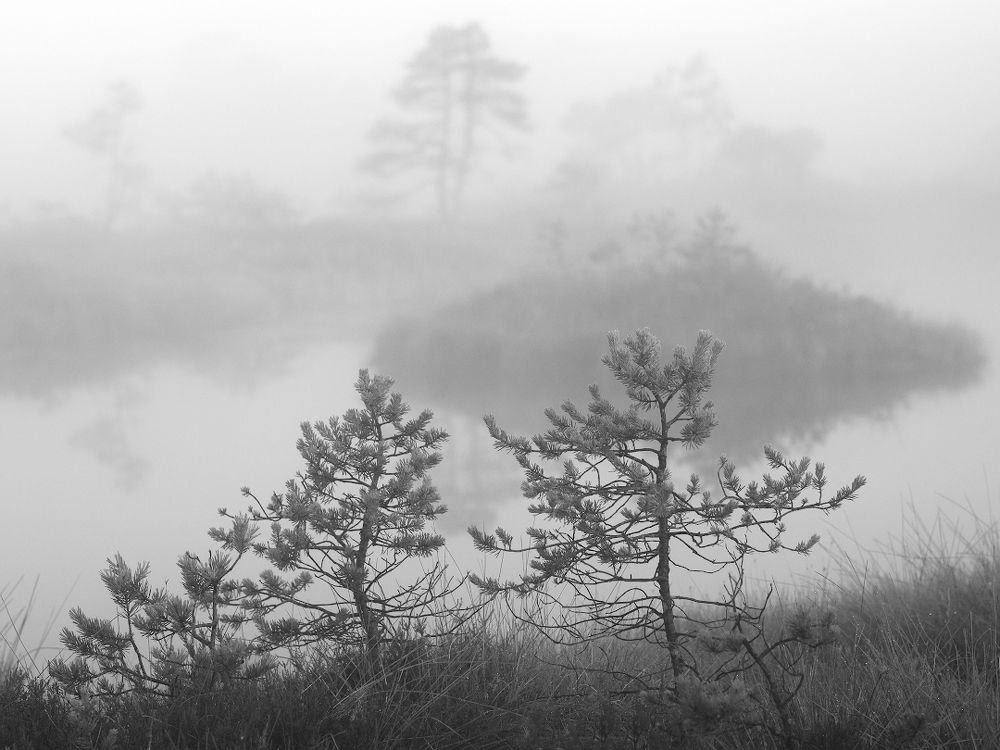 Photograph by Андрей Пешков