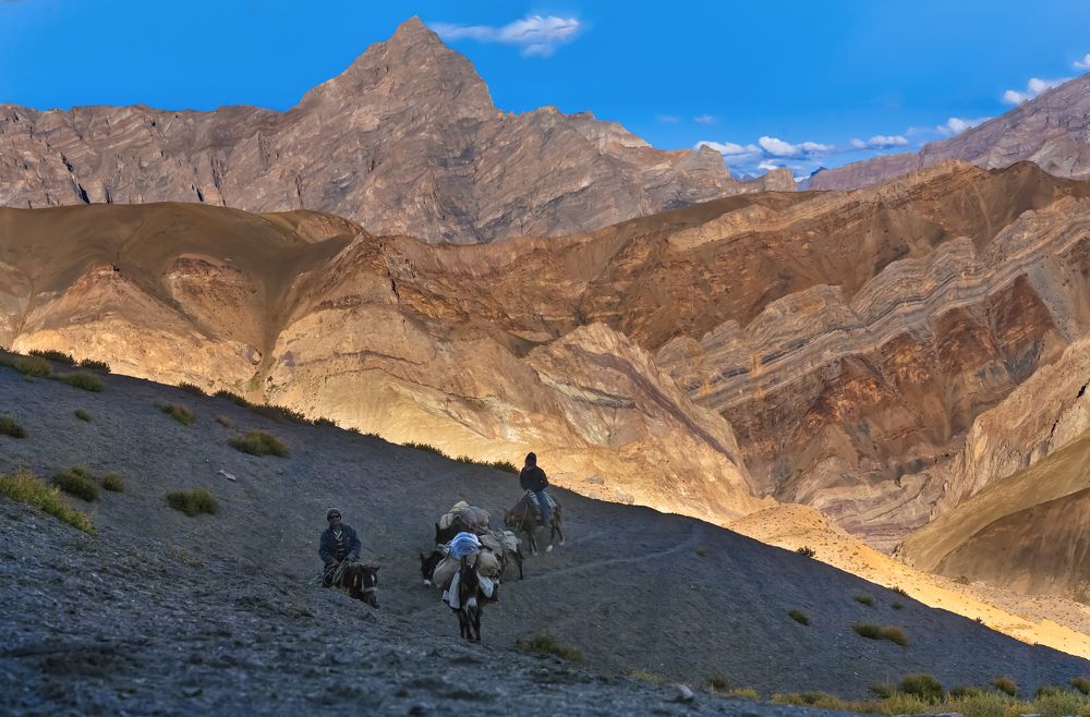 Photograph by Виктор Белименко