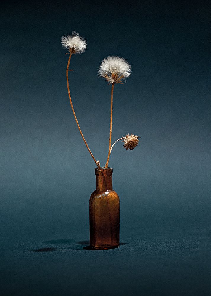 Photograph by Stas Che