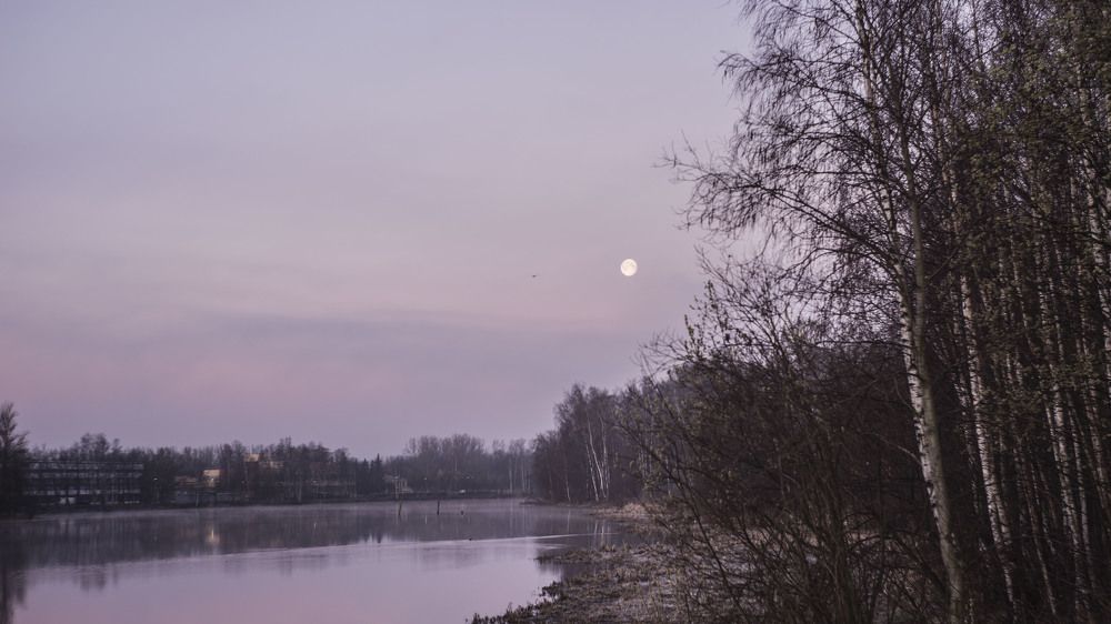 Photograph by Сергей