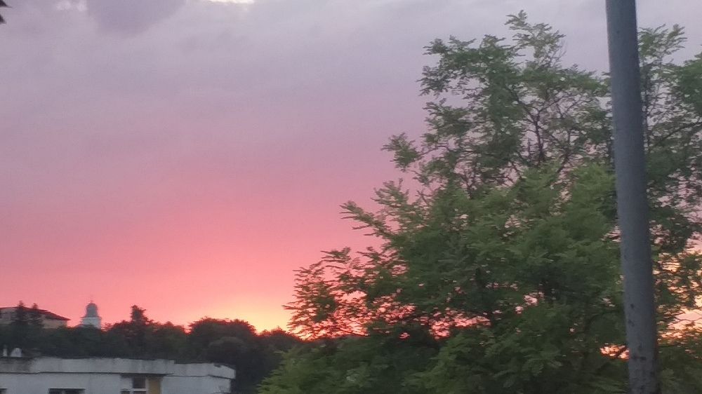 Photo #5816390