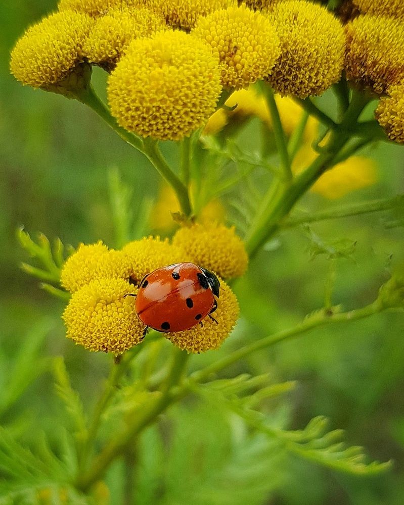 Photograph by Olga Weinberger