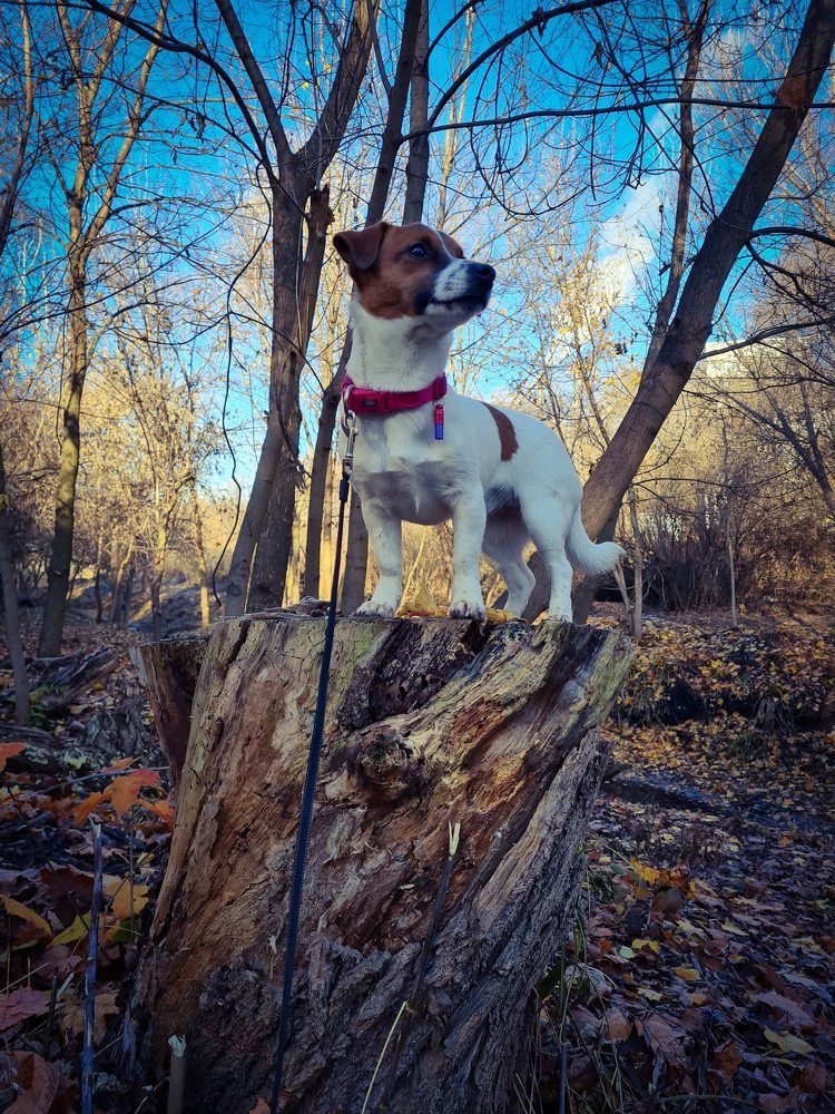 Photograph by Anastasiia