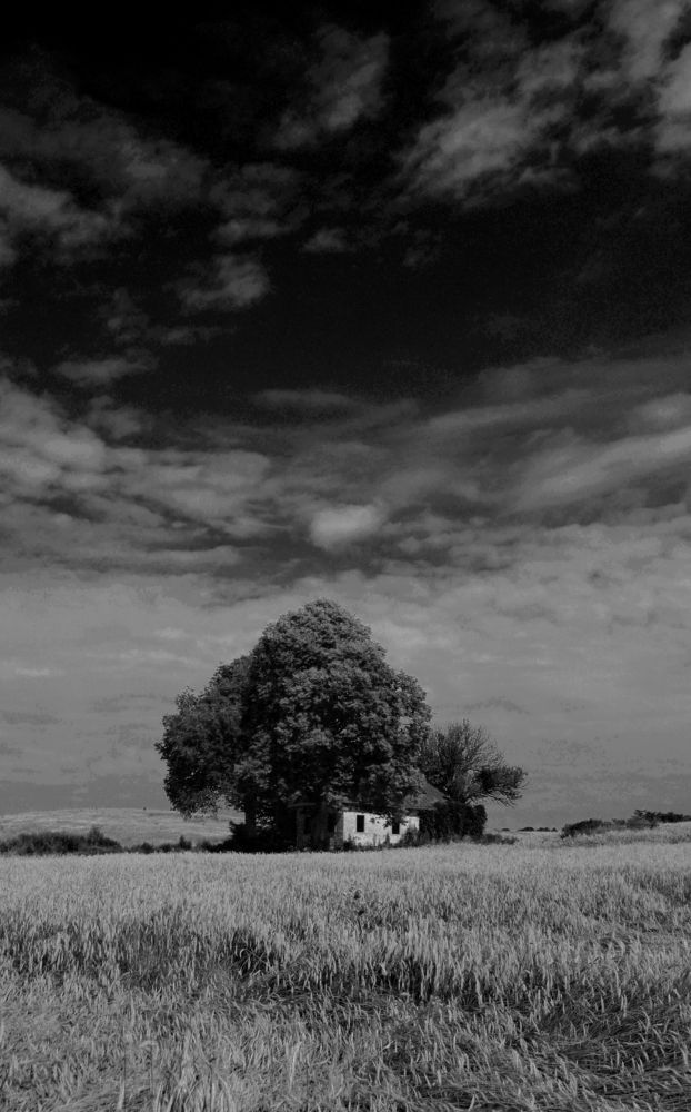 Photograph by Marina Kolyaraby