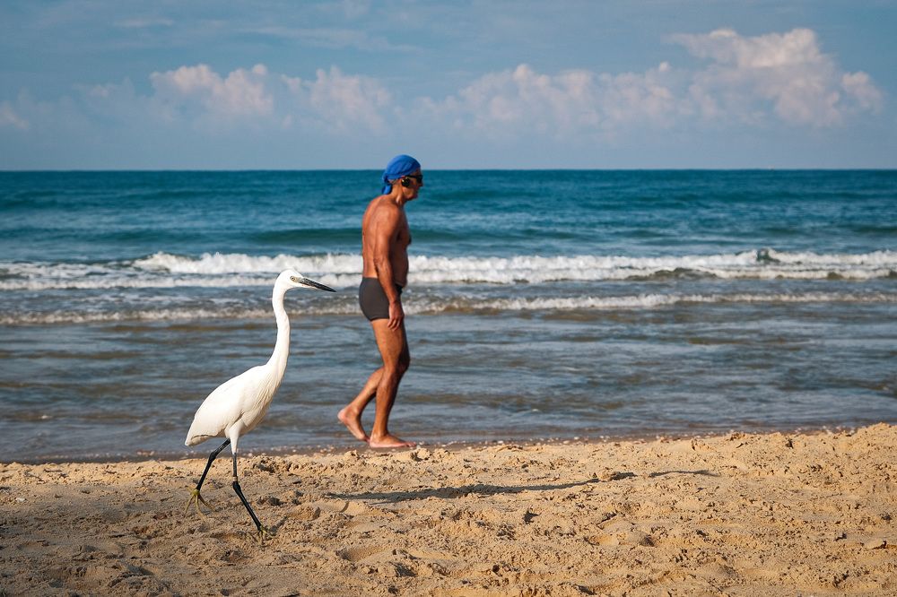 Photograph by Алёна Думнова