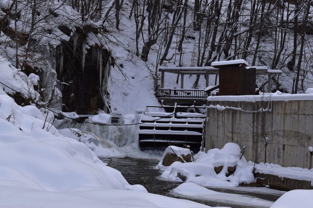 Photograph by Natasha Latinovska