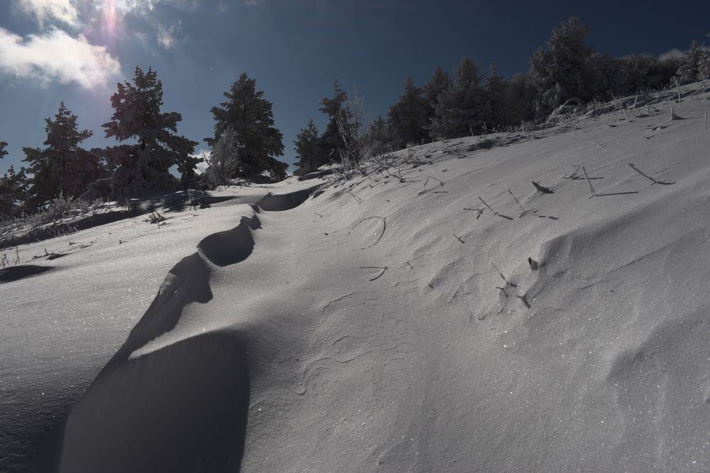 Photograph by Natasha Latinovska