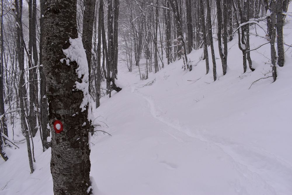 Photograph by Natasha Latinovska