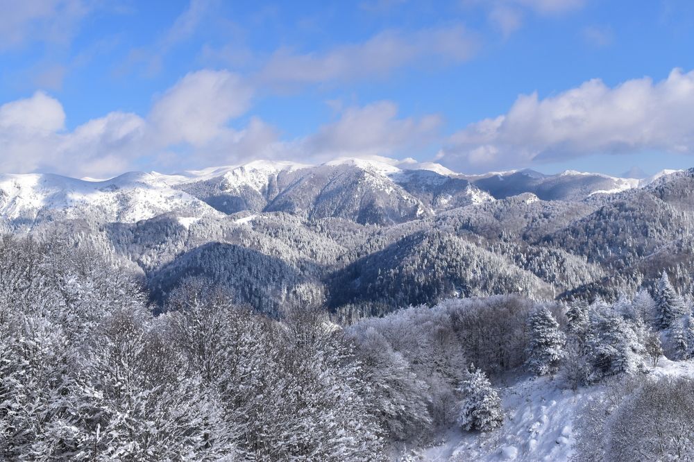 Photograph by Natasha Latinovska